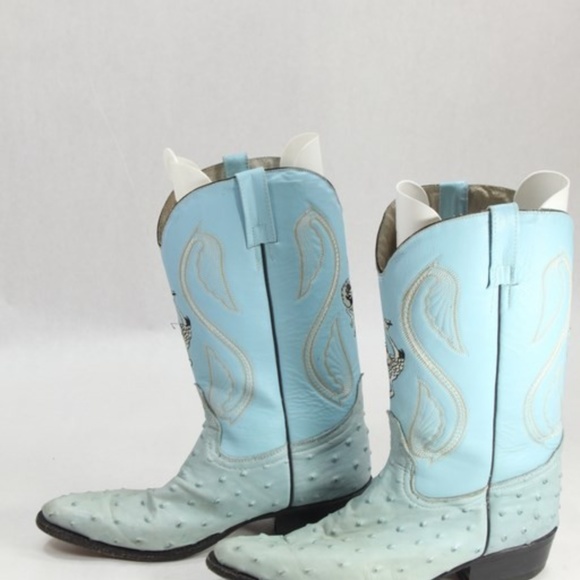 BEAUTIFULL BLUE OSTRICH - Picture 5 of 7